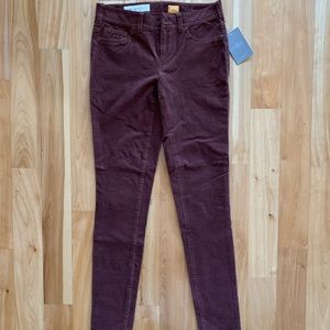 NWT Anthropologie pants: size 25